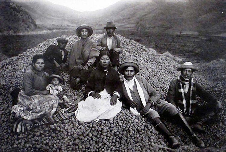 Did you know that the FreezeDried technique was invented by Incan